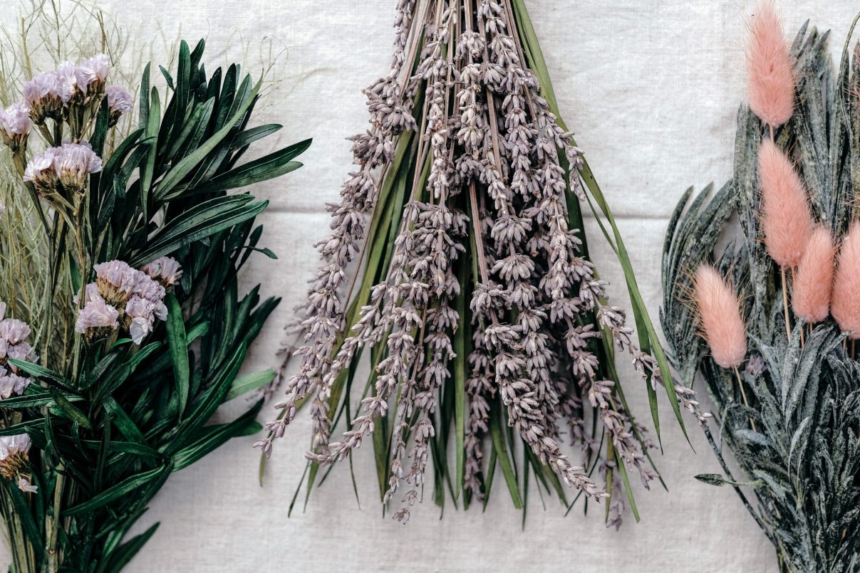 Photo of a lavender to evoke the sense of smell. Photo by Insung Yoon, Unsplash.