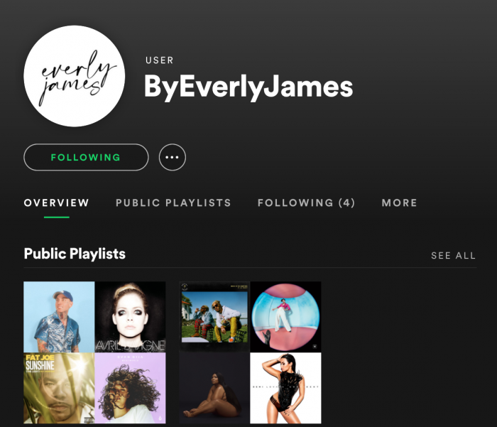 Screenshot of EVJ spotify account